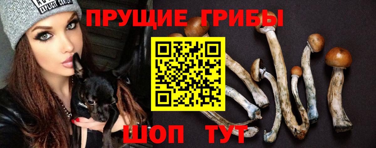 Галлюциногенные грибы ЛСД  Вход с VPN  Коряжма 